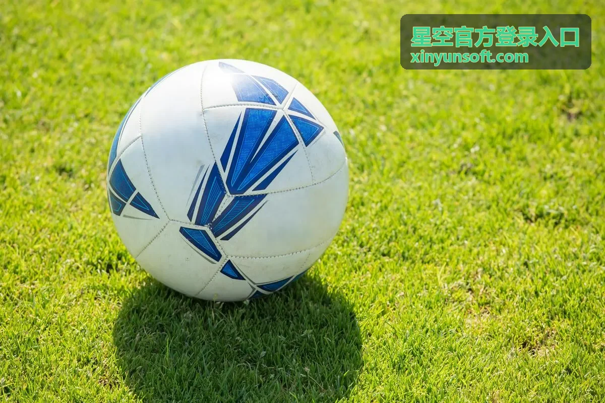 星空官方登录入口官方指南封面