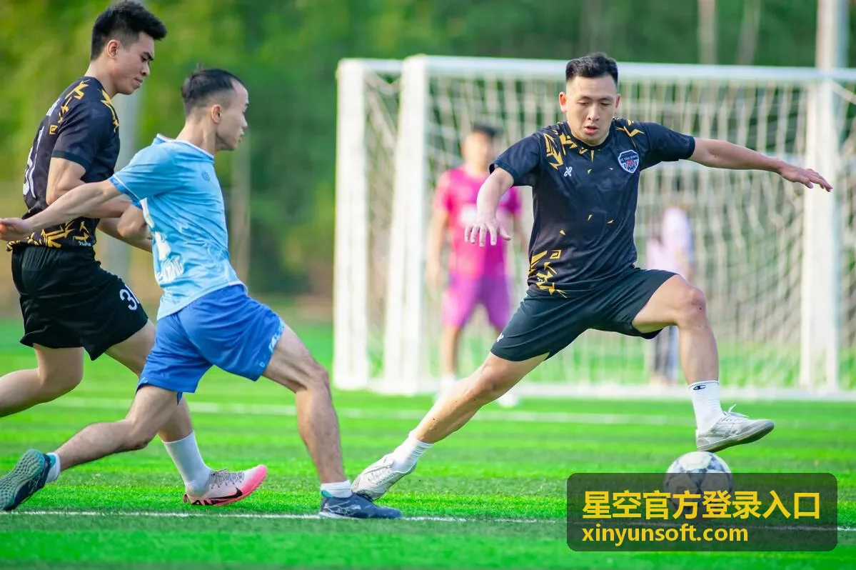 星空官方登录入口安全公告封面