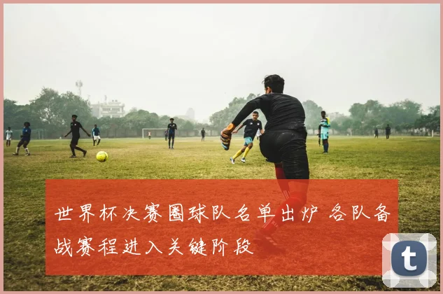 世界杯决赛圈球队名单出炉 各队备战赛程进入关键阶段