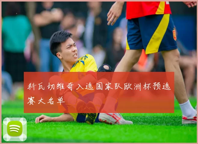 科瓦切维奇入选国家队欧洲杯预选赛大名单