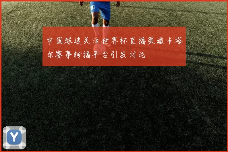 中国球迷关注世界杯直播渠道卡塔尔赛事转播平台引发讨论
