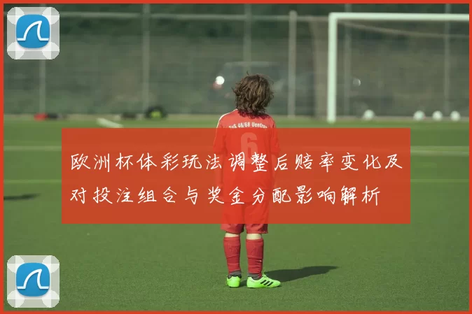 欧洲杯体彩玩法调整后赔率变化及对投注组合与奖金分配影响解析