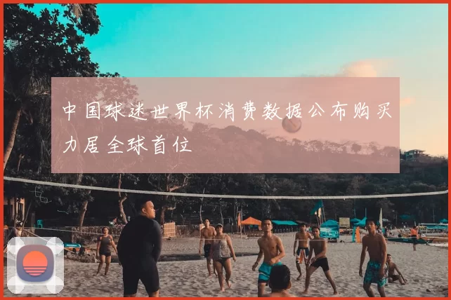 中国球迷世界杯消费数据公布购买力居全球首位