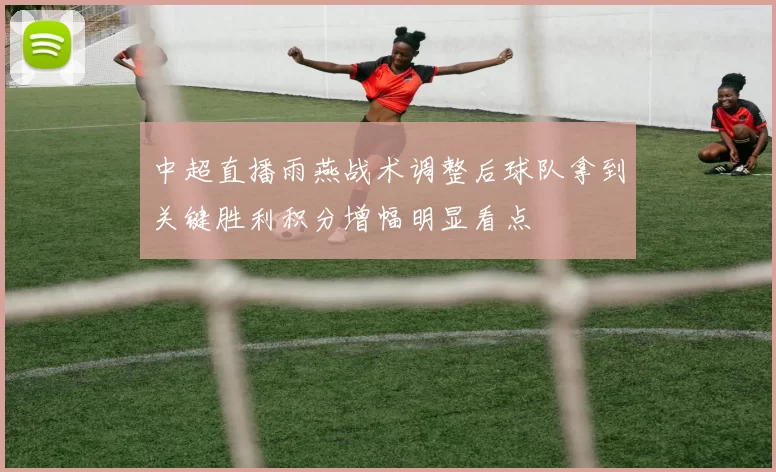 中超直播雨燕战术调整后球队拿到关键胜利积分增幅明显看点