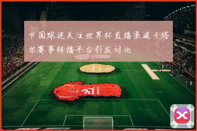 中国球迷关注世界杯直播渠道卡塔尔赛事转播平台引发讨论